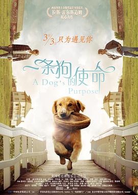 高清立体3D