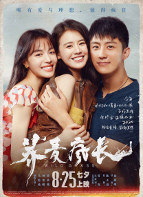 中文字幕在线手机播放
